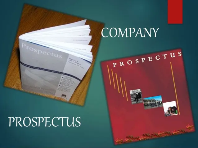 Prospectus Under Company Law: Civil and Criminal Liability Explained